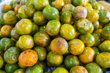 Fresh orange in the grocery store
