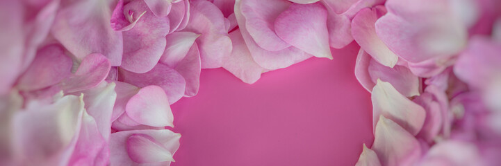 Rose petals on a pink background.