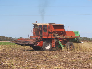 Fototapeta premium Red combine