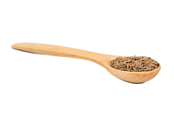 Dry cumin in spoon