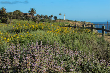 Point Vicente Lighthouse and Preserve on the Palos Verdes Peninsula, Los Angeles County, California