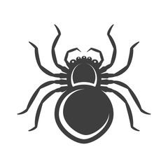 Spider icon. Isolated vector on white background