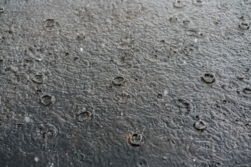 rain gray background. Drops on a puddle