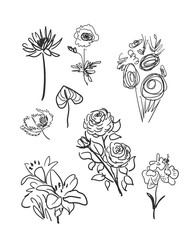 Obraz premium vector sketch illustration design elements plant doodle flowers