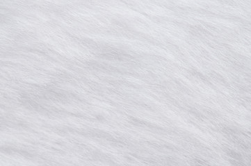 White bunny fur background