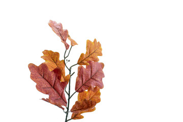 White oak leaf. Factory made. Not real. White Background