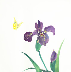 iris flower and butterfly