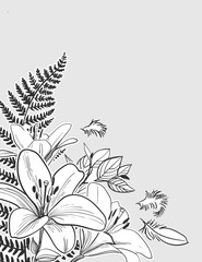 vector sketch flower background card lily fern composition