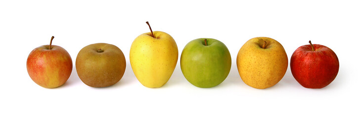 Différentes variétés de pommes