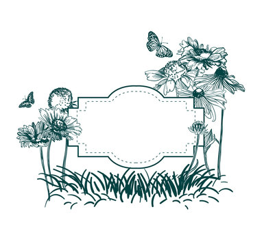 engrave flowers vector frame sketch meadow design