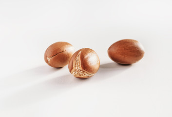 Argan nuts. Seeds of argania spinosa on white,a close up isolated on white
