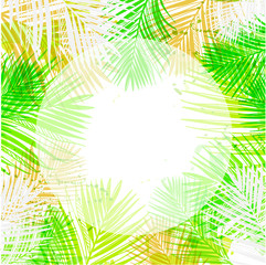 Fototapeta na wymiar vector background summer green card leaves palm
