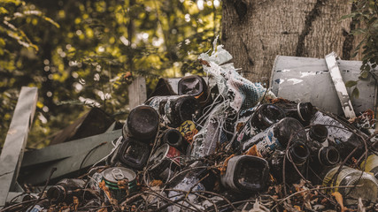 Glass bottles garbage in tree