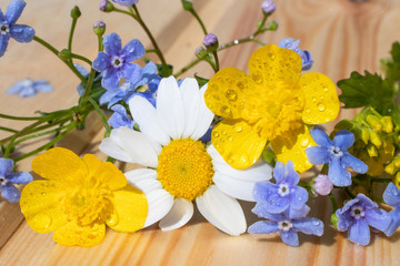 A miniature bouquet of field flowers. The concept of summer bloom. Cozy cute still life suitable for posters, postcards, photo pictures.