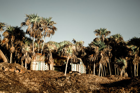 house in jungle