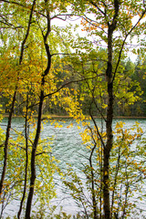 Autumn view to the trees and The Lake Iso-Valkee on the background, Somero, Finland