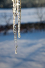 Winter in the Netherlands. Icicle with waterdrops hanging from roof.