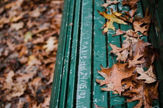 Autumn leaves on a park bench