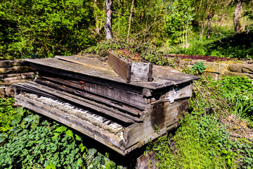 Klavier in der Natur