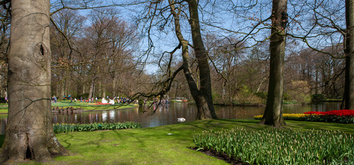 Dutch spring flowers Keukenhof Netherlands. Park