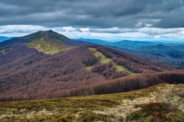 Naklejka premium A beautiful panoramic mysterious view of the forest in the Bieszczady mountains (Poland) on a misty rainy spring May day, nature is lonely - without people