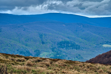 Obraz premium A beautiful panoramic mysterious view of the forest in the Bieszczady mountains (Poland) on a misty rainy spring May day, nature is lonely - without people