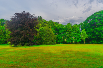 Dutch park background image