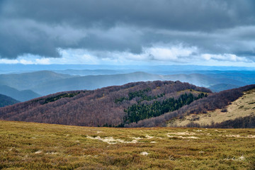 Fototapeta premium A beautiful panoramic mysterious view of the forest in the Bieszczady mountains (Poland) on a misty rainy spring May day, nature is lonely - without people