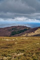 Naklejka premium A beautiful panoramic mysterious view of the forest in the Bieszczady mountains (Poland) on a misty rainy spring May day, nature is lonely - without people