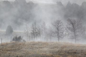 Obraz na płótnie Canvas Ghostly Figures in Foggy Mine Country