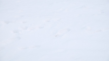 Footprints on snow ground