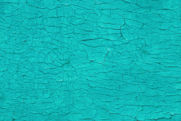 Texture evenly cracked green paint on the old wall, background