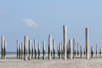 Wooden groynes on the sandy beach.