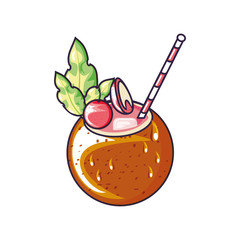 summer cocktail of coconut with straw