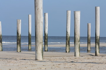 Wooden groynes on the sandy beach.