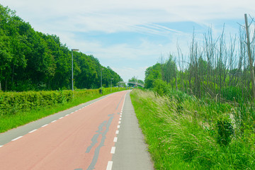 Dutch bike lane in the nature