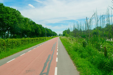 Dutch bike lane in the nature