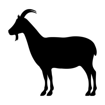Vector illustration of a black silhouette goat