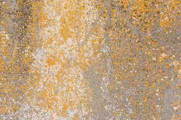 Texture, wall, concrete, it can be used as a background. Wall fragment with scratches and cracks