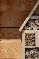  insect hotel