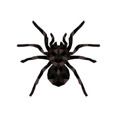 Vector isolated hanging spider for decoration covering creepy Halloween spiderweb. Arachnid nature spooky danger silhouette bug.