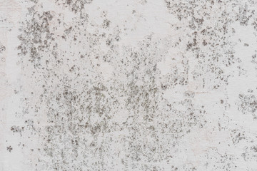 Texture, wall, concrete, it can be used as a background. Wall fragment with scratches and cracks