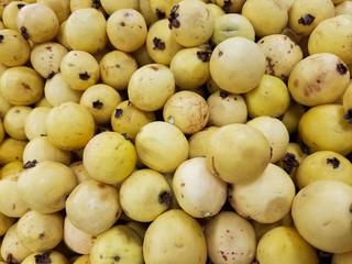 Heap of delicious yellow guavas on the shelf of a supermarket or grocery store. Typical tropical fruit in Latin America.