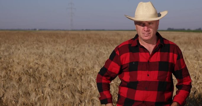 Farmer in Farm Wheat Culture Salute with Hand Gestures Looking Confident