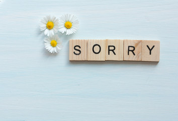 Word sorry and flowers on blue background.