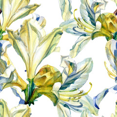 Watercolor seamless pattern of Azalea flowers.