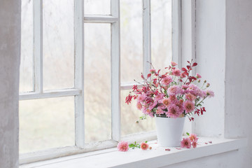 Fototapeta premium pink chrysanthemums on white windowsill