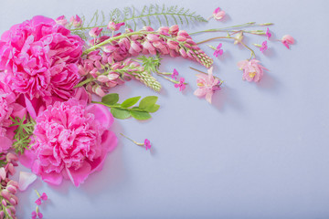 pink beautiful flowers on blue paper background
