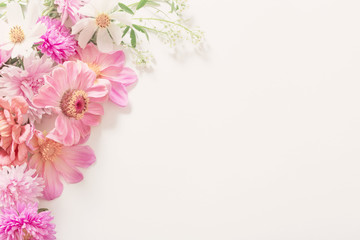 Fototapeta na wymiar pink flowers on white background