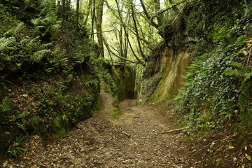 Fototapeta premium Empty trekking etruscan roads in Pitigliano, Grosseto, Toscana, Italia